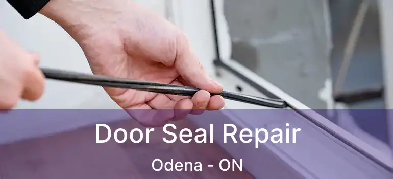 Door Seal Repair Odena - ON