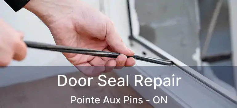 Door Seal Repair Pointe Aux Pins - ON