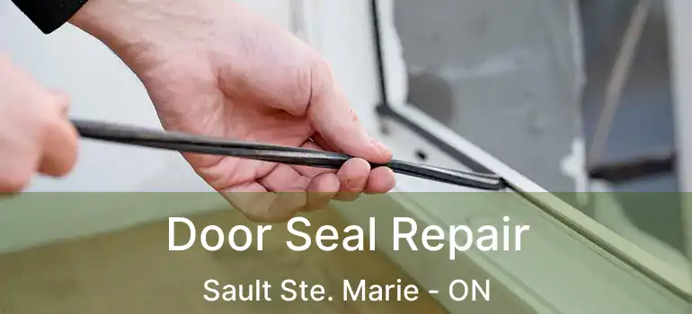 Door Seal Repair Sault Ste. Marie - ON