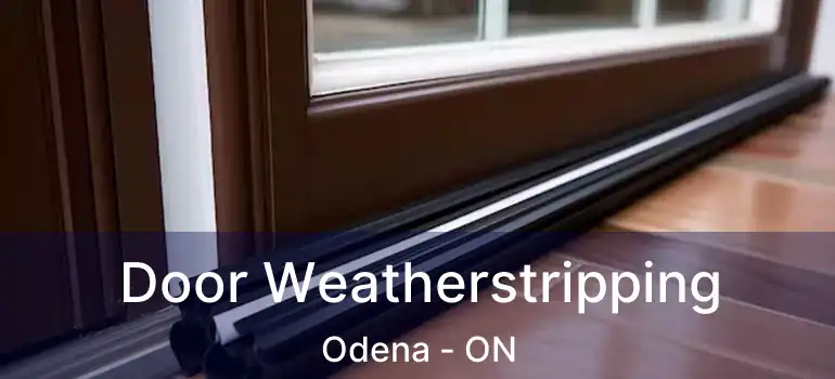 Door Weatherstripping Odena - ON