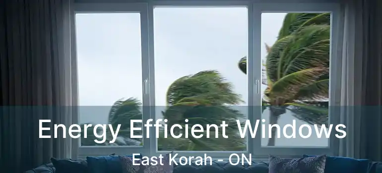 Energy Efficient Windows East Korah - ON
