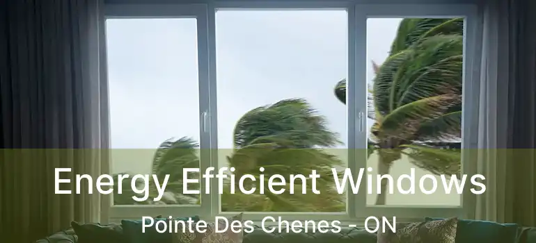 Energy Efficient Windows Pointe Des Chenes - ON