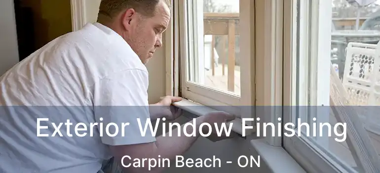Exterior Window Finishing Carpin Beach - ON