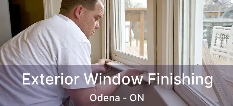 Exterior Window Finishing Odena - ON
