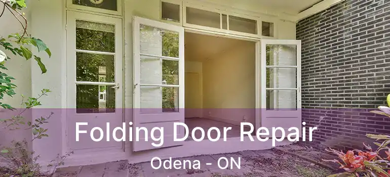 Folding Door Repair Odena - ON