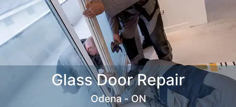 Glass Door Repair Odena - ON