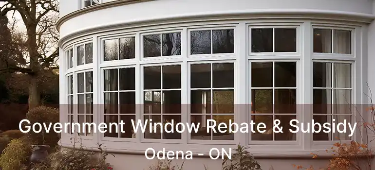 Government Window Rebate & Subsidy Odena - ON
