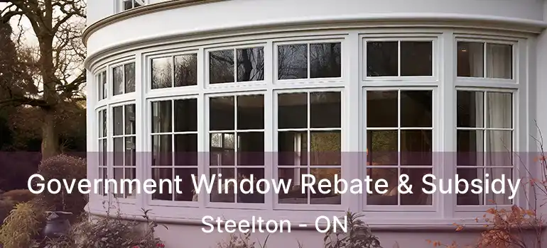 Government Window Rebate & Subsidy Steelton - ON