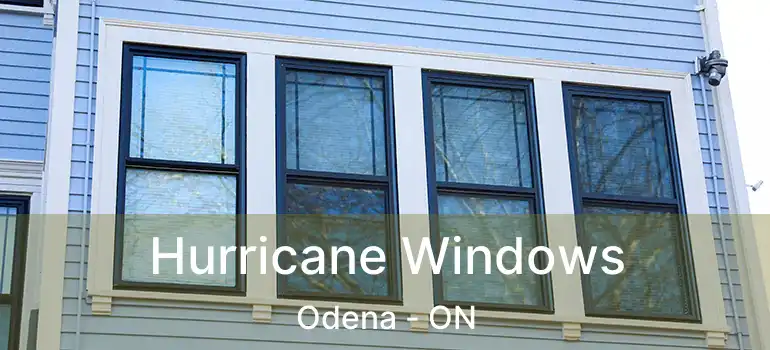 Hurricane Windows Odena - ON