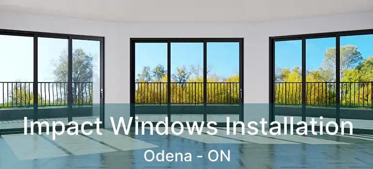  Impact Windows Installation Odena - ON