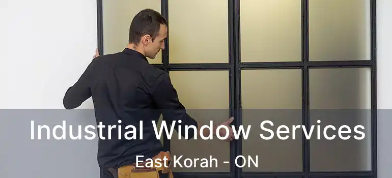Industrial Window Services East Korah - ON