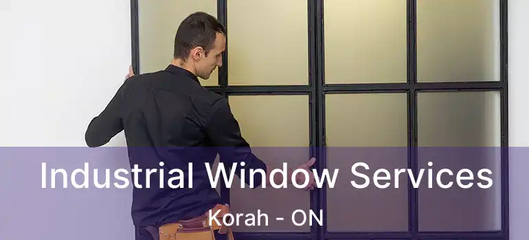 Industrial Window Services Korah - ON
