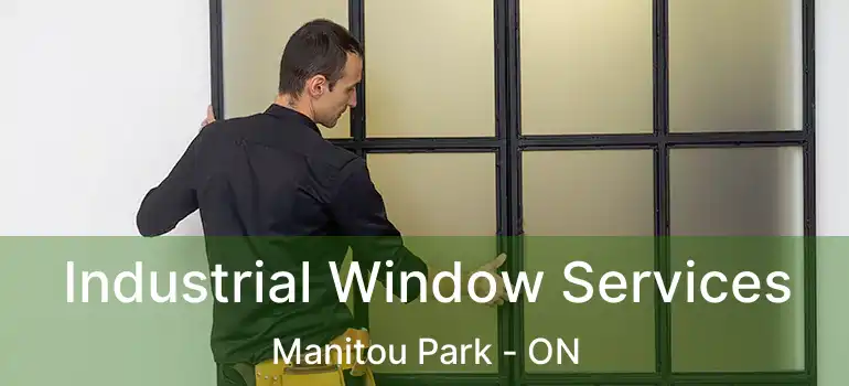 Industrial Window Services Manitou Park - ON