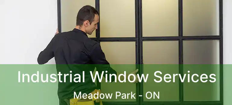 Industrial Window Services Meadow Park - ON