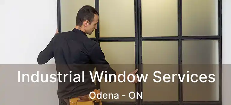 Industrial Window Services Odena - ON