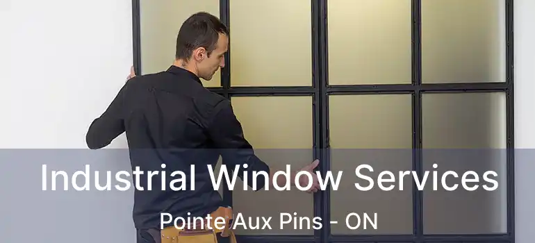 Industrial Window Services Pointe Aux Pins - ON