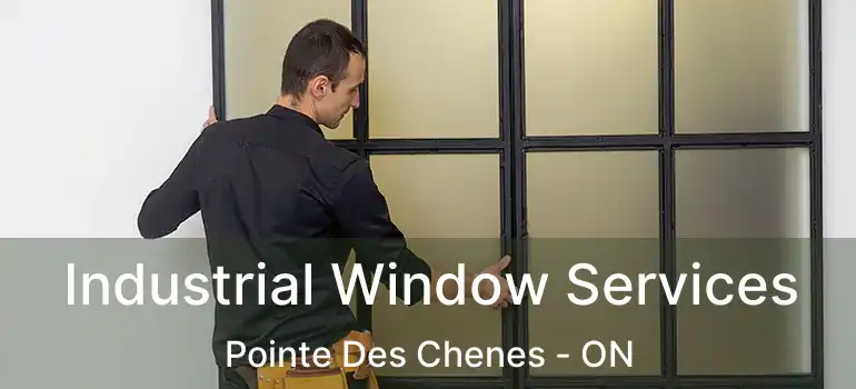 Industrial Window Services Pointe Des Chenes - ON