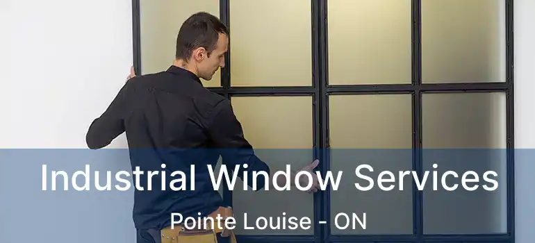 Industrial Window Services Pointe Louise - ON