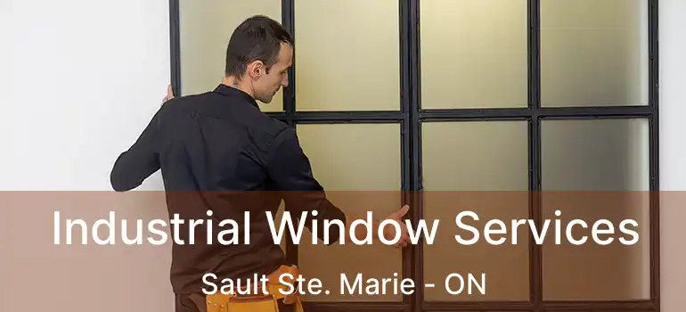 Industrial Window Services Sault Ste. Marie - ON