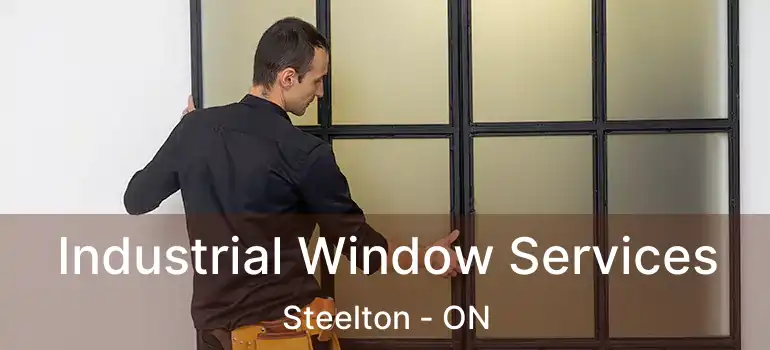 Industrial Window Services Steelton - ON