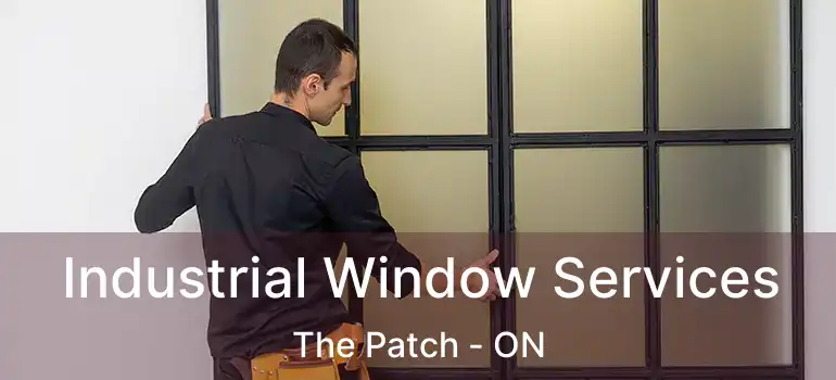 Industrial Window Services The Patch - ON