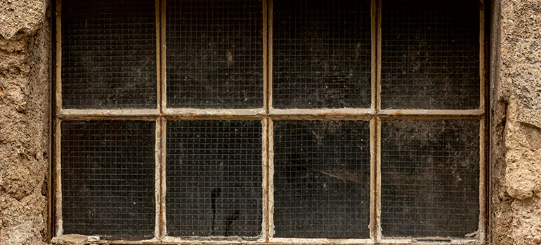 Traditional Double Front Doors in Sault Ste. Marie, Ontario