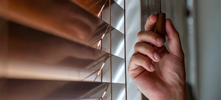 Double Roller Blinds in Sault Ste. Marie, Ontario