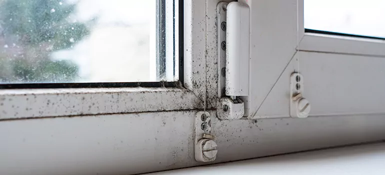 Sault Ste. Marie, ON