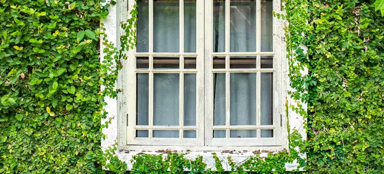 Garden Window Repair Near Me in Sault Ste. Marie, ON