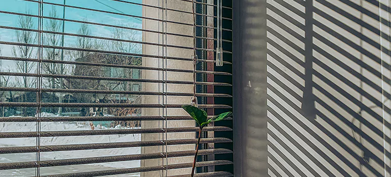 Commercial Window Blinds in Sault Ste. Marie, ON