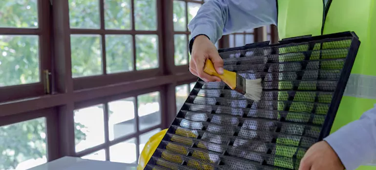 Traditional Window Grille Installation Options in Sault Ste. Marie, ON