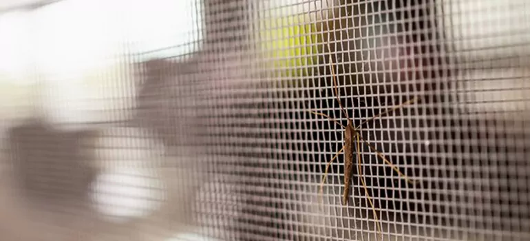 Repair Mosquito Mesh For Windows in Sault Ste. Marie, Ontario