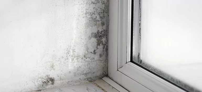 Sault Ste. Marie, ON