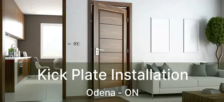 Kick Plate Installation Odena - ON
