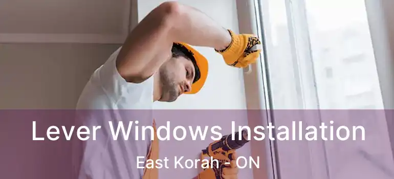 Lever Windows Installation East Korah - ON