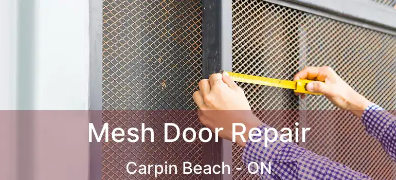 Mesh Door Repair Carpin Beach - ON