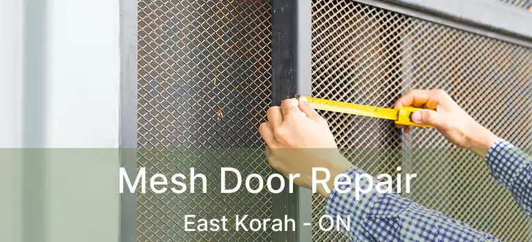 Mesh Door Repair East Korah - ON