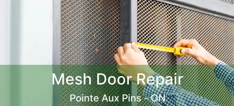 Mesh Door Repair Pointe Aux Pins - ON