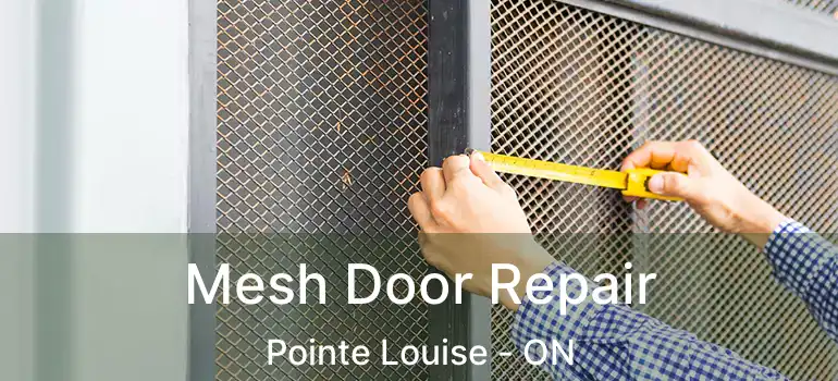 Mesh Door Repair Pointe Louise - ON