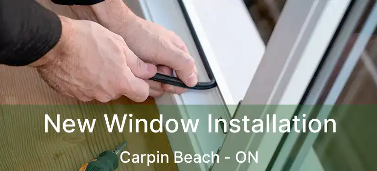 New Window Installation Carpin Beach - ON