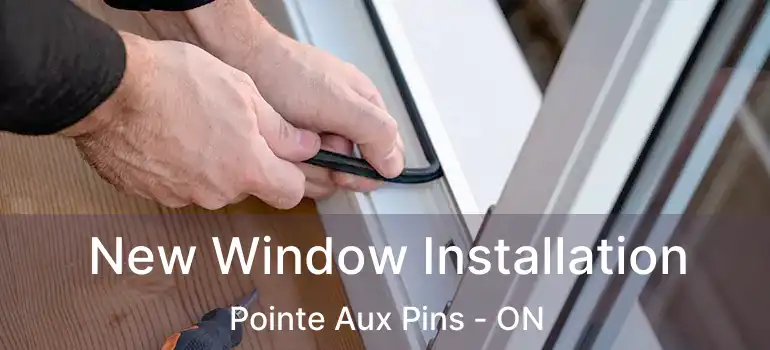New Window Installation Pointe Aux Pins - ON
