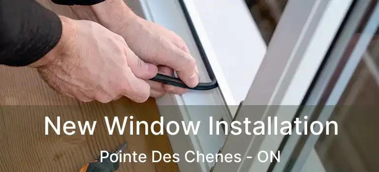 New Window Installation Pointe Des Chenes - ON