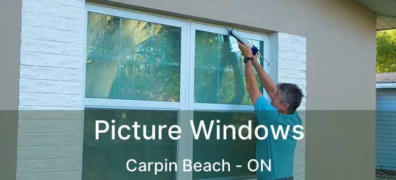 Picture Windows Carpin Beach - ON