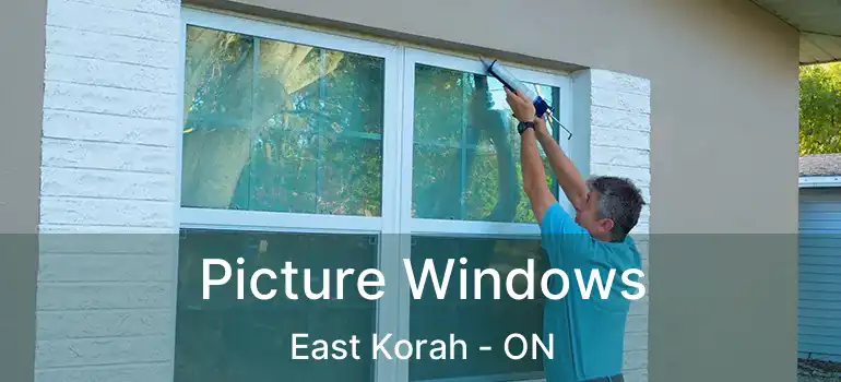 Picture Windows East Korah - ON