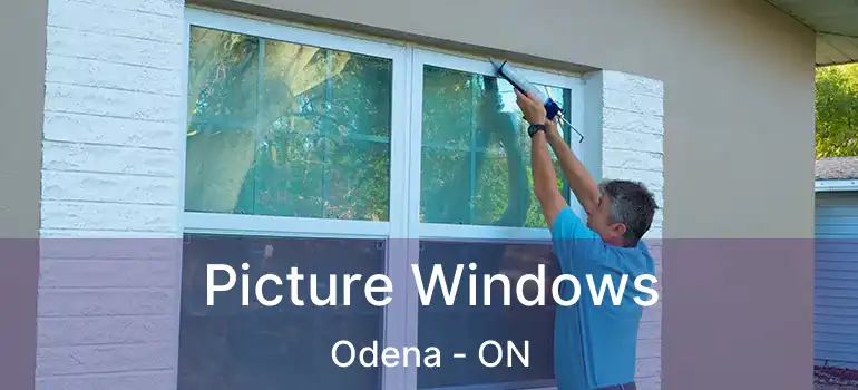 Picture Windows Odena - ON