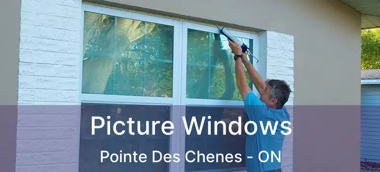 Picture Windows Pointe Des Chenes - ON