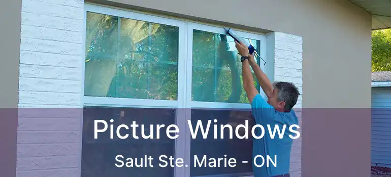 Picture Windows Sault Ste. Marie - ON