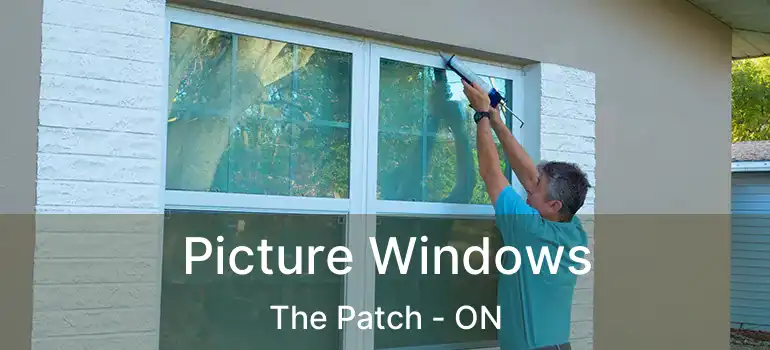 Picture Windows The Patch - ON