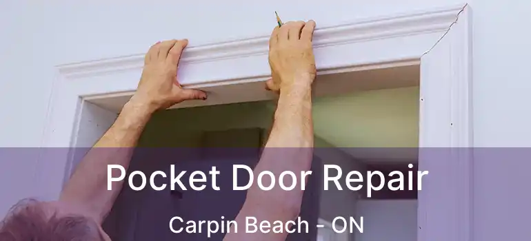 Pocket Door Repair Carpin Beach - ON