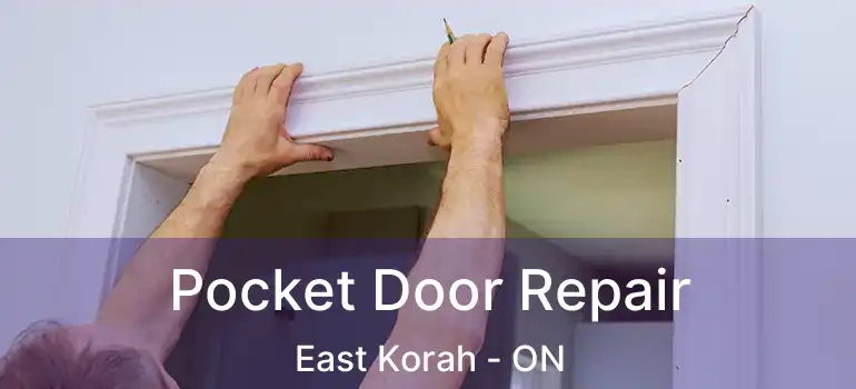 Pocket Door Repair East Korah - ON